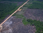 Eco Invest Brasil promove quinto leilão para financiar inovação