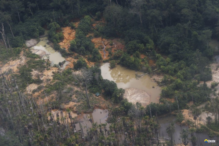Edital prorroga inscrições para restauração em terras indígenas