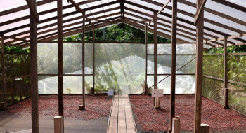 Edital seleciona projetos de inovação no Amazonas, Pará e Rondônia