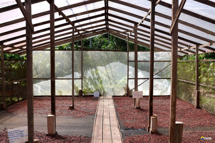 Edital seleciona projetos de inovação no Amazonas, Pará e Rondônia