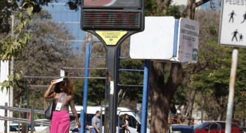 Efeitos das mudanças do clima agravam alergias, diz especialista