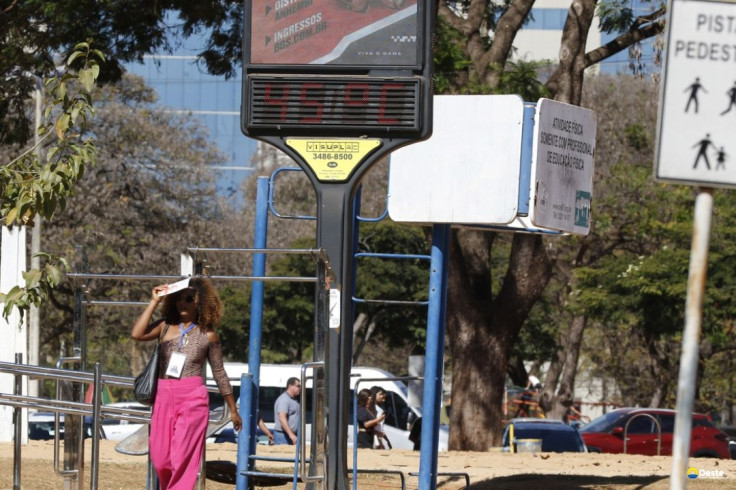 Efeitos das mudanças do clima agravam alergias, diz especialista