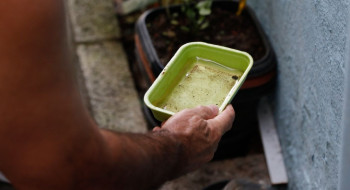 El Niño pode aumentar casos de chikungunya e dengue no Brasil