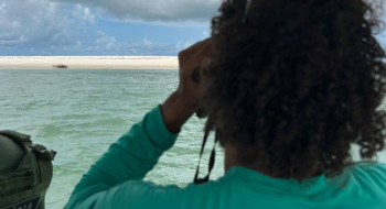 Elefante-marinho volta a ser avistado no litoral alagoano