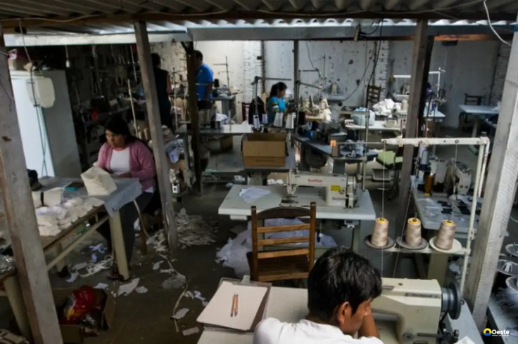Em 13 anos, MG tirou 5,6 mil pessoas de trabalho análogo à escravidão