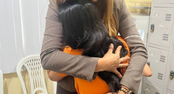 Entenda como nova lei põe fim a atenuantes para estupro de vulnerável