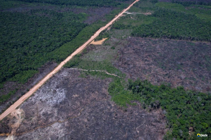 Entidades criticam urgência de projeto sobre crimes ambientais