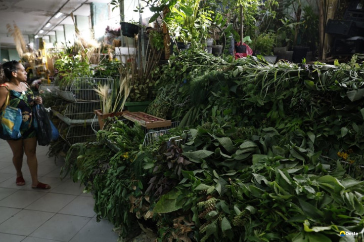 Erveiras se atualizam para atender a novas tradições de religiões afro