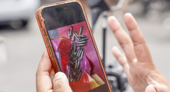 Escolas e universidades voltam ao expediente regular no Rio