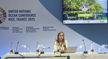 Especialista da COP30 cobra mais financiamento para oceanos