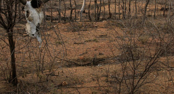 Estiagem: Defesa Civil reconhece emergência em cidades do Nordeste