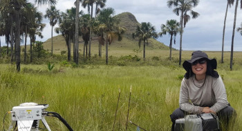 Estudo indica que Cerrado pode armazenar mais carbono que Amazônia