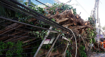 Eventos climáticos extremos desafiam concessionárias de energia