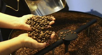 Exportação de café do Brasil cai em 2025, mas bate recorde em receita