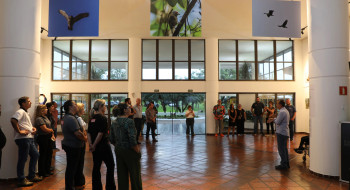 Exposição Avifauna de São Paulo chega ao Hotel Sesi Epitácio e convida público a conhecer a diversidade das aves brasileiras