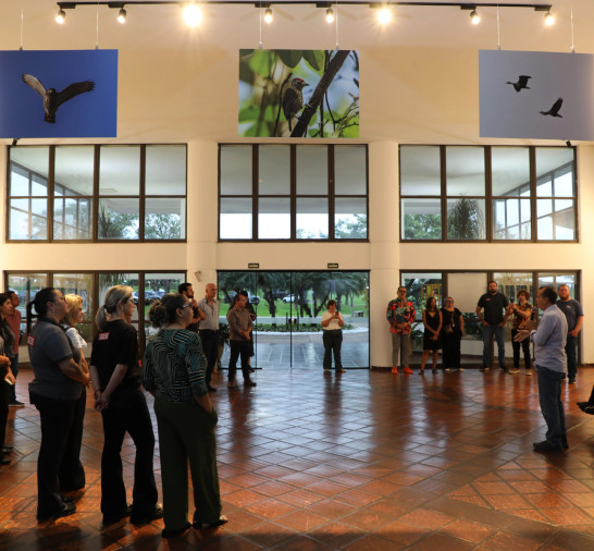 Exposição Avifauna de São Paulo chega ao Hotel Sesi Epitácio e convida público a conhecer a diversidade das aves brasileiras