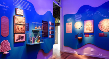 Exposição O Tempo das Plantas propõe troca cultural e desaceleração