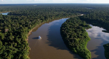 Fazendas ilegais de gado devastam áreas protegidas na Amazônia