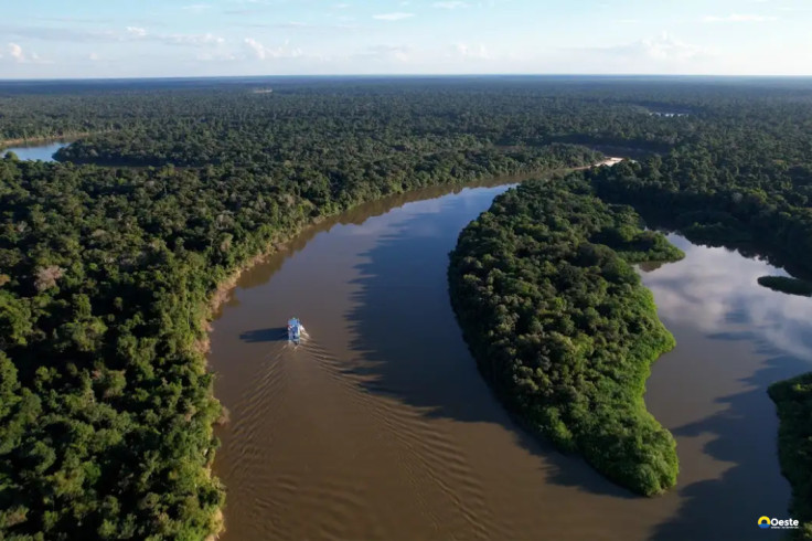Fazendas ilegais de gado devastam áreas protegidas na Amazônia