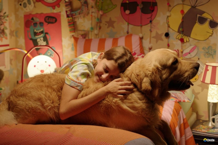 Festival de cinema BIFF 2026 divulga programação e selecionados