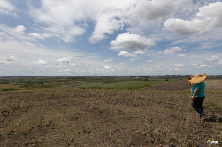 Fevereiro teve registro de seca mais branda em quatro regiões do país