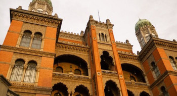 Fiocruz inicia testes para tratamento da Atrofia Muscular Espinhal