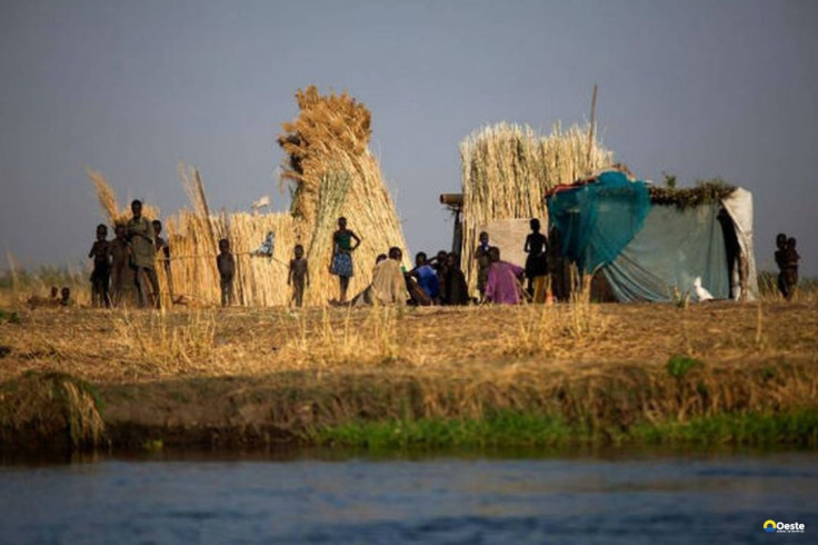 Fome mundial atinge 645 milhões de pessoas, diz relatório da ONU