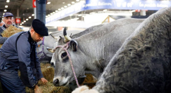 França registra 1º caso humano do vírus Shamonda que afeta animais