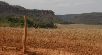 Fronteira Cerrado: acesso desigual ao Estado agrava conflitos agrários