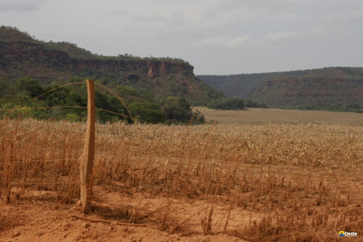 Fronteira Cerrado: acesso desigual ao Estado agrava conflitos agrários