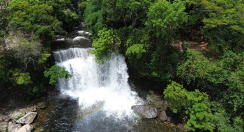 Fronteira Cerrado: ativistas pedem mesma prioridade dada à Amazônia