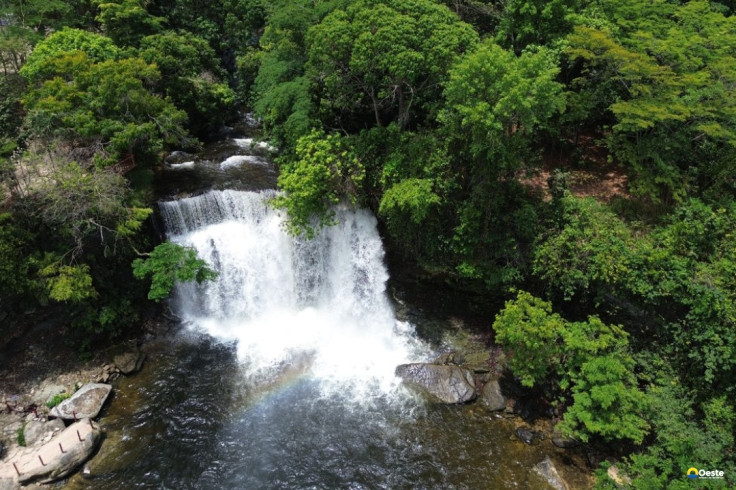 Fronteira Cerrado: ativistas pedem mesma prioridade dada à Amazônia
