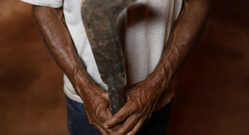 Fronteira Cerrado: desmatamento gera conflitos por terra e grilagem