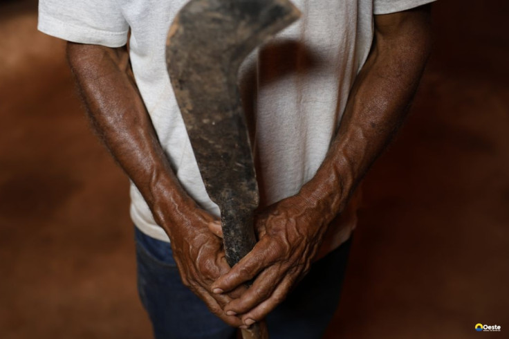 Fronteira Cerrado: desmatamento gera conflitos por terra e grilagem