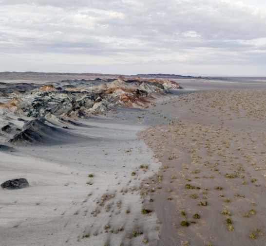 Fungos podem restaurar terras degradadas e combater crise climática