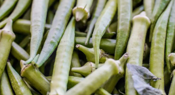 Garantia-Safra: veja lista dos que receberão pagamento em abril