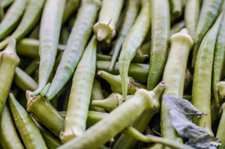 Garantia-Safra: veja lista dos que receberão pagamento em abril