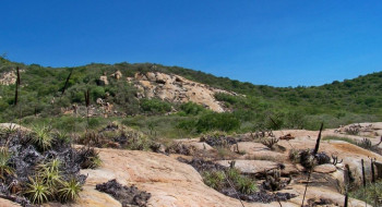 Geoparque Seridó é tema do Caminhos da Reportagem desta segunda