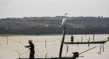 Gestão do seguro-defeso passa oficialmente ao Ministério do Trabalho