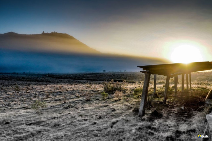 Governo abre crédito de R$ 12 bilhões para produtores rurais