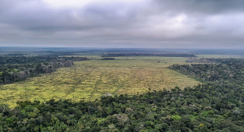 Governo defende manutenção de vetos à lei do licenciamento ambiental