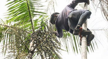 Governo investe R$ 132 milhões em regularização fundiária na Amazônia