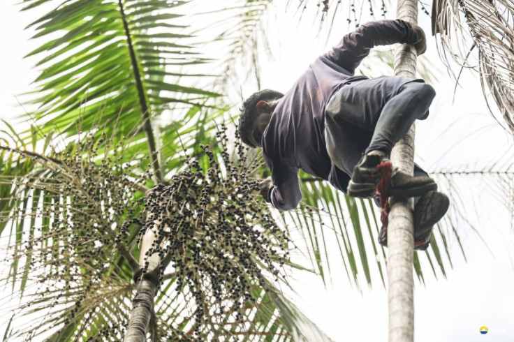 Governo investe R$ 132 milhões em regularização fundiária na Amazônia