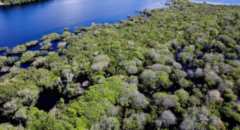 Governo lança edital para combate ao desmatamento na Amazônia
