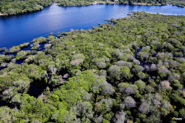 Governo lança edital para combate ao desmatamento na Amazônia