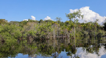 Governo levantou R$ 179 bi desde 2023 para transição ecológica