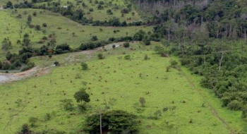 Governo prorroga prazo para georreferenciamento de imóveis rurais