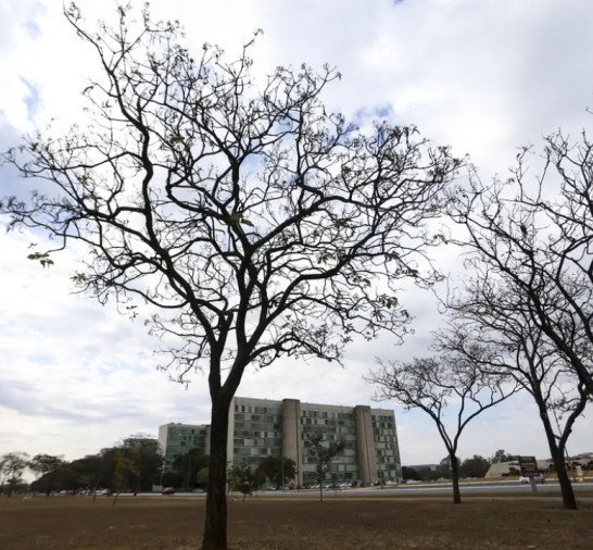 Grande parte do país tem temperaturas elevadas nesta terça-feira