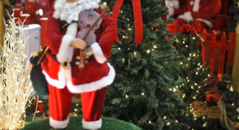 Hoje é Dia: Natal, ecologia e Cristina Buarque são destaques