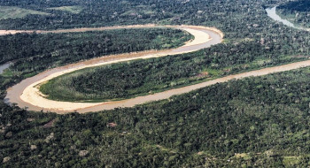 Holanda anuncia US$ 500 milhões em fundo florestal criado pelo Brasil